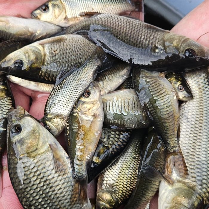 Продаётся ТОО с озером ОТРХ!!!