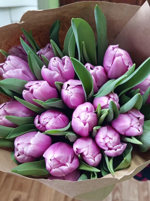 Тюльпаны оптом со своей теплицы