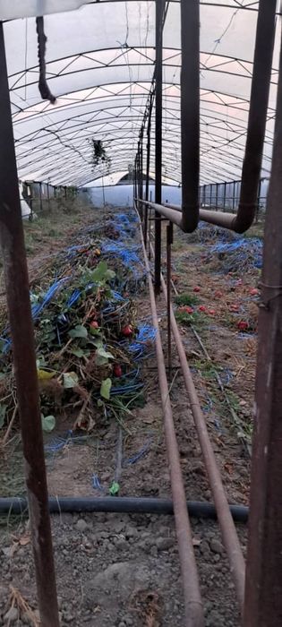 Katyol, trubalari bilan 1 yil ishlatilgan