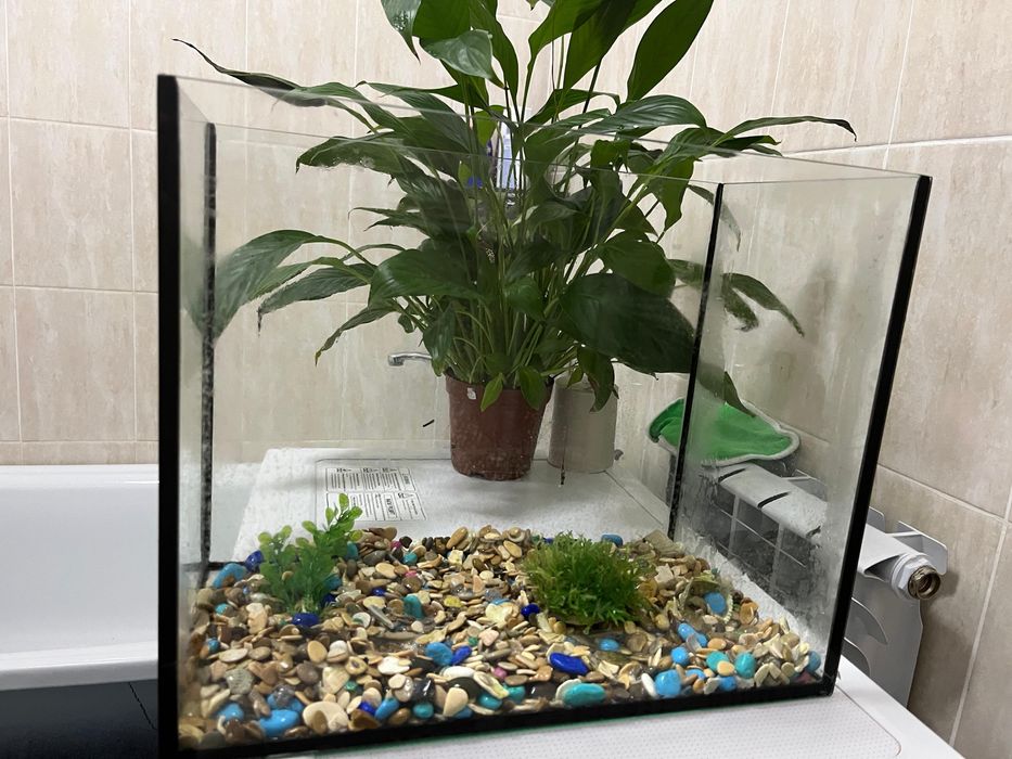 Продам аквариум 25 литров