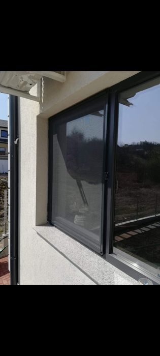 Plase de insecte