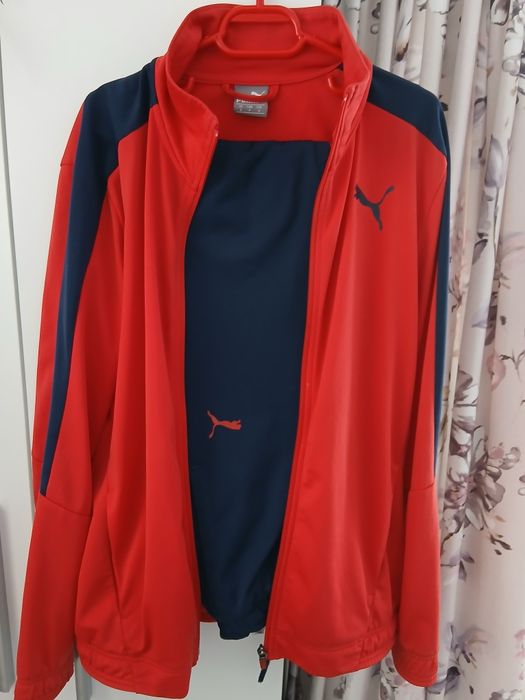 Trening puma original