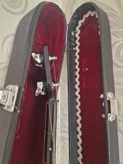 Электронный домбро