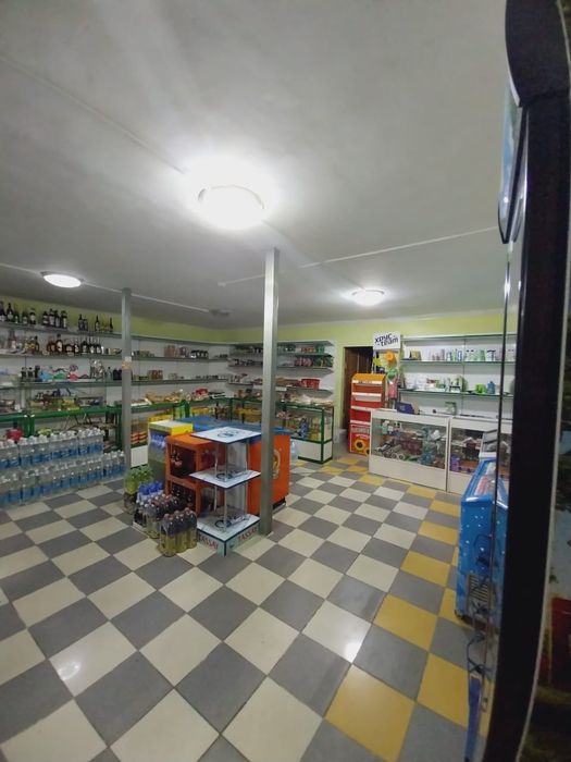 Андроид Капшагай