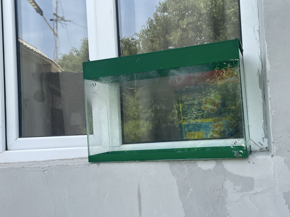 Kvarium holati yaxshi