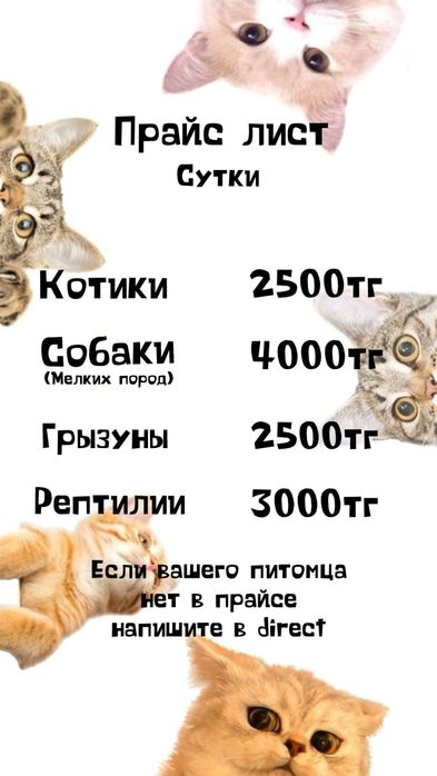 Передержка вашего питомца