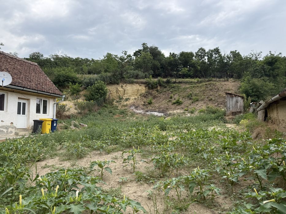 Casa 60 mp/Teren 1120 mp OCNA Sibiului Intravilan
