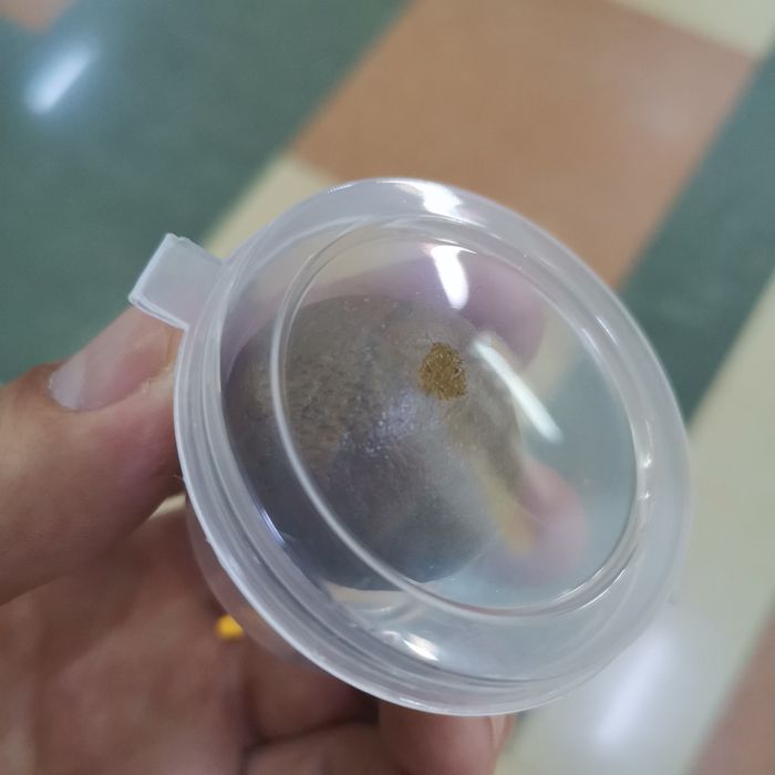 Продам мед натуральный