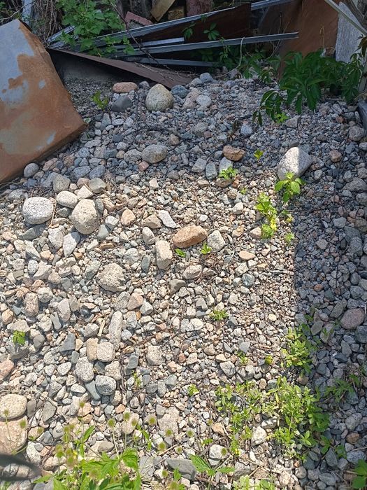 Щебёнка бесплатно