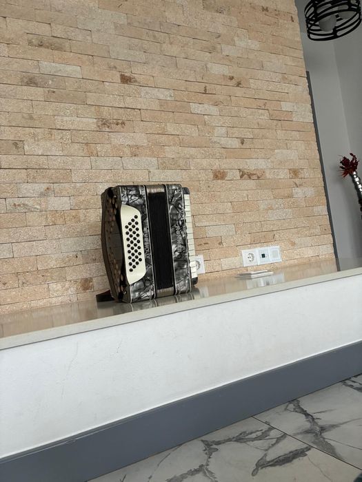 Acordeon Hohner mic pentru copii