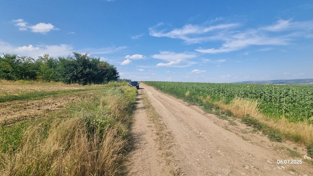 Teren extravilan Ciurbesti/Miroslava