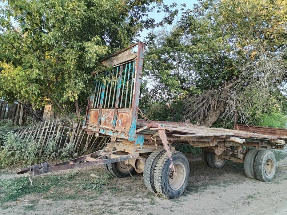 продам телешку 25т