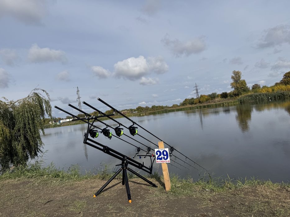 Echipament pescuit la crap SHIMANO/FOX/MECCANICA