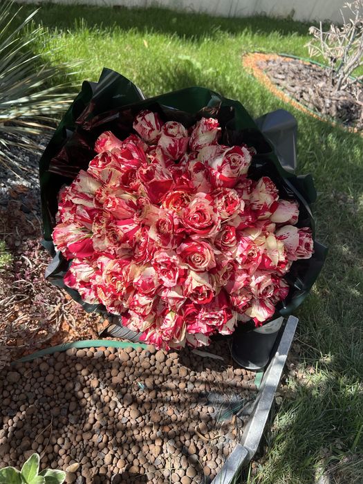 Buchet trandafiri naturali 101