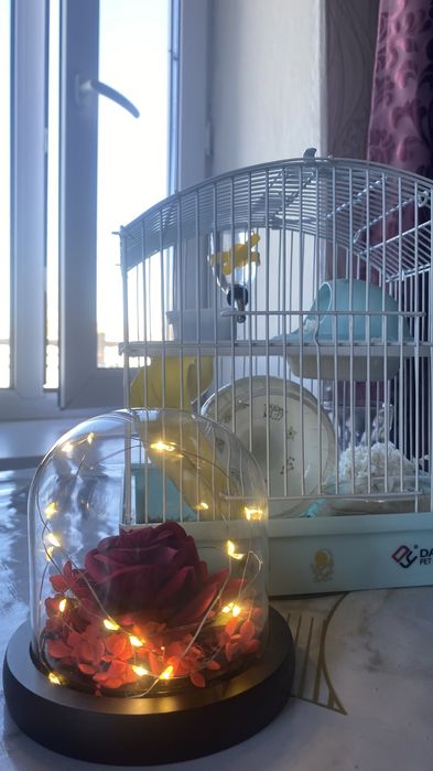 Домик для хомяка