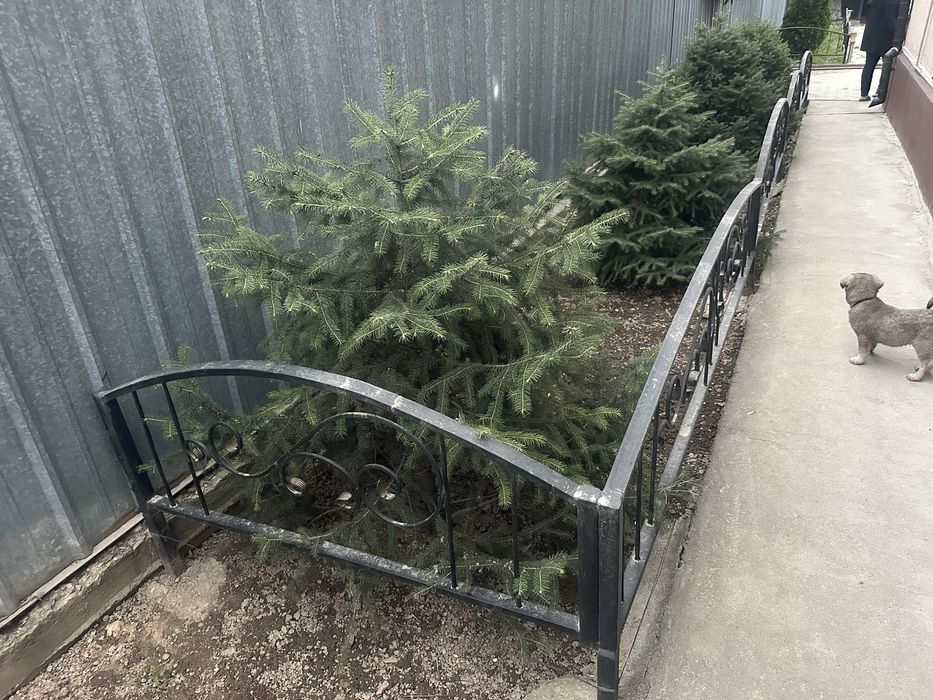 Продам кованый забор ограждеие