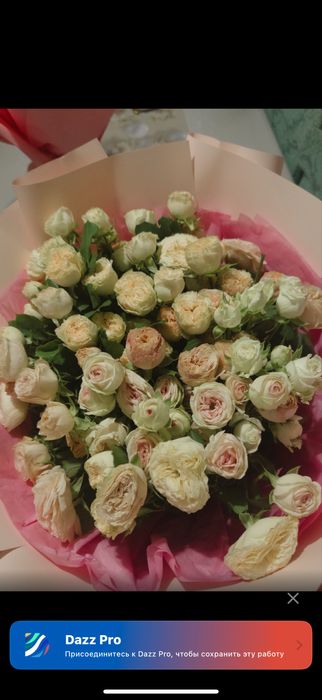 кустовые розыыяы