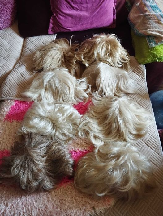 Парик  в наличии 10 штук