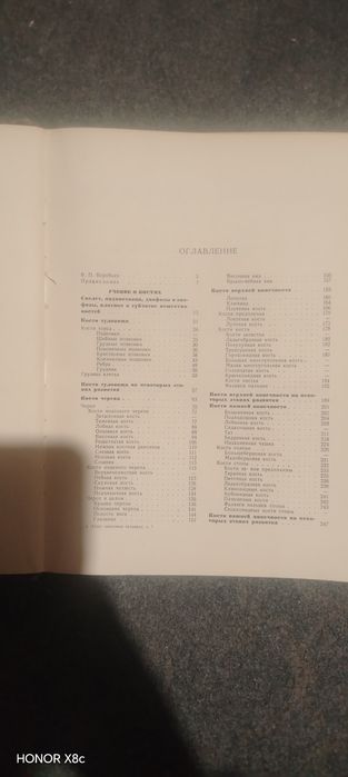 Атлас Анатомии Человека