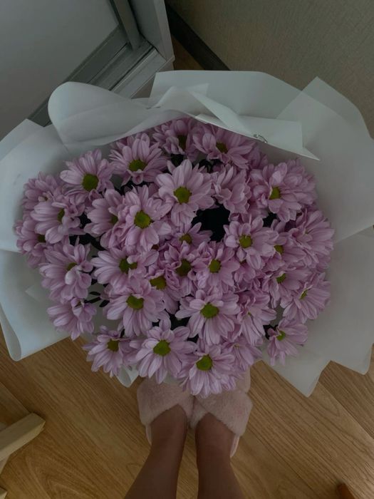 цветок хрезонтемы