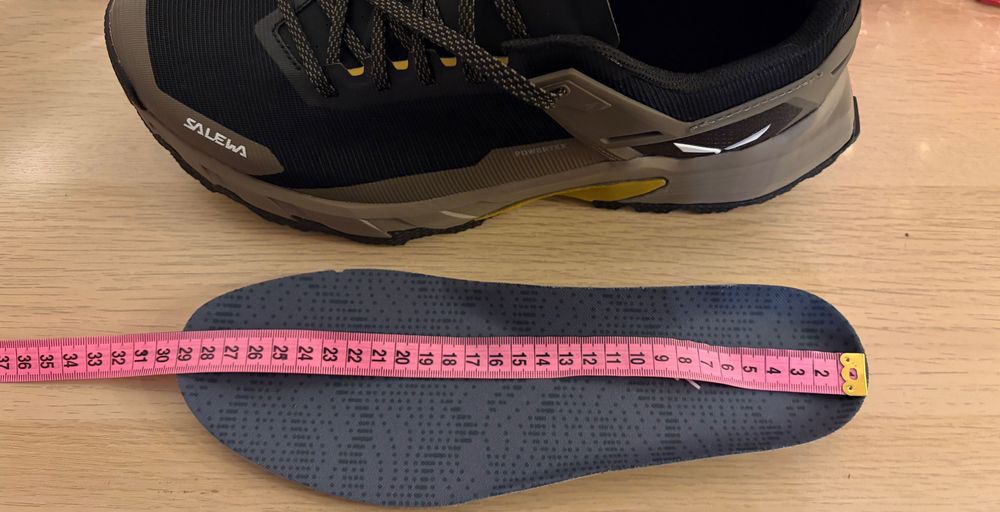 Salewa Pedroc 2 PTX Hiking Boots EU 44,5