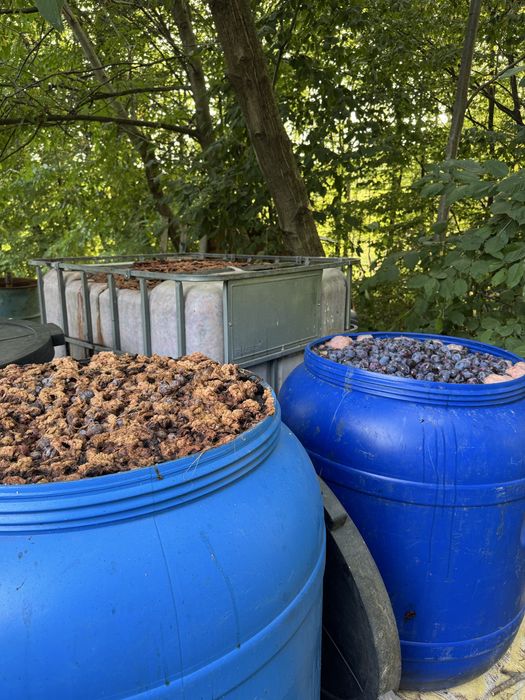 Vand pana la 1000kg Prune