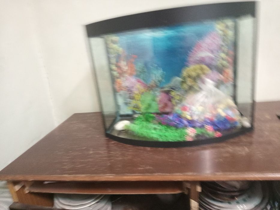 Аквариум 40 литров