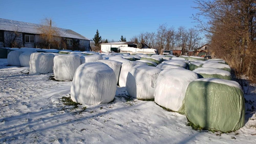 Baloti lucerna Producție 2025