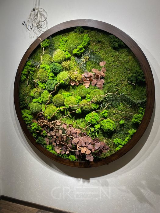 Стабилизированный Мох Фитостены Растения