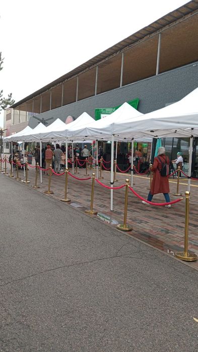 Аренда Полатки Тарговый Шатёр