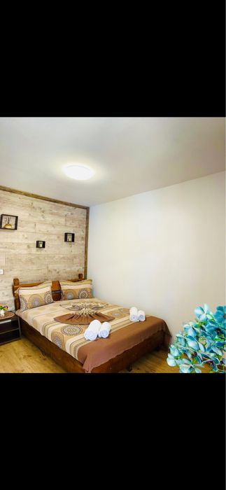 Cazare Vi La David Costinesti