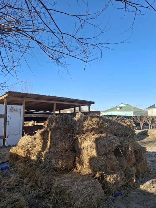 Камыс прес сатылады