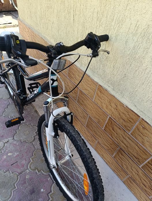 X - Fact 24 цола. .