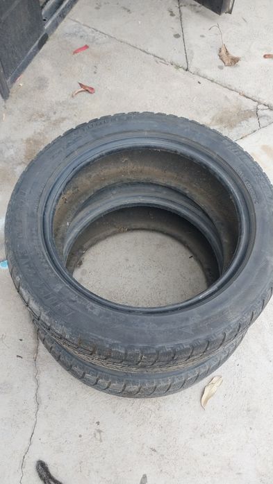 Шыны 195,55,16  2 шт