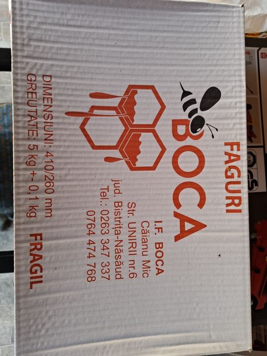 Vand foite ceara faguri