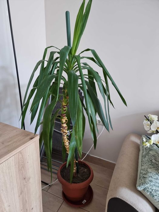 Дава се под наем Офис в Бургас, Възраждане - 40 кв.м за 408 € - Снимка #8