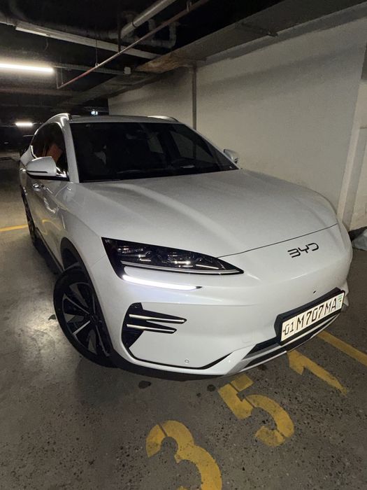 Byd champion restayling