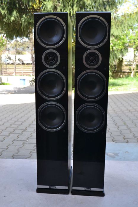 Boxe Magnat Shadow 207