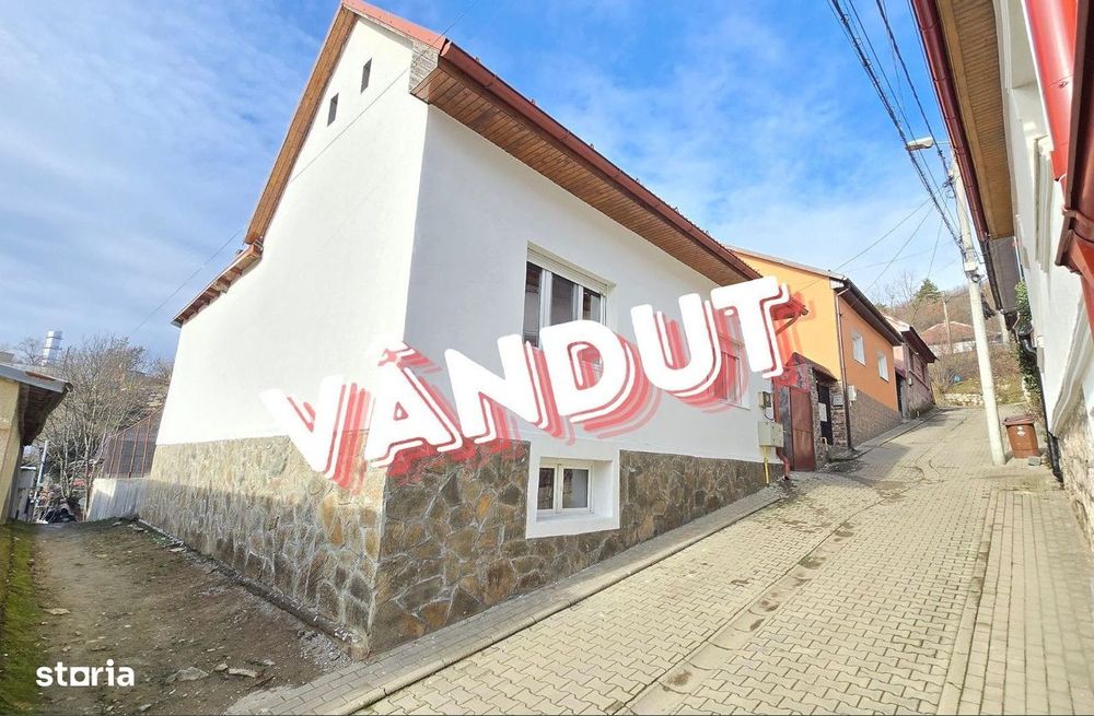 Proprietate cu 3 corpuri | casa + spatiu separat | Muncitoresc