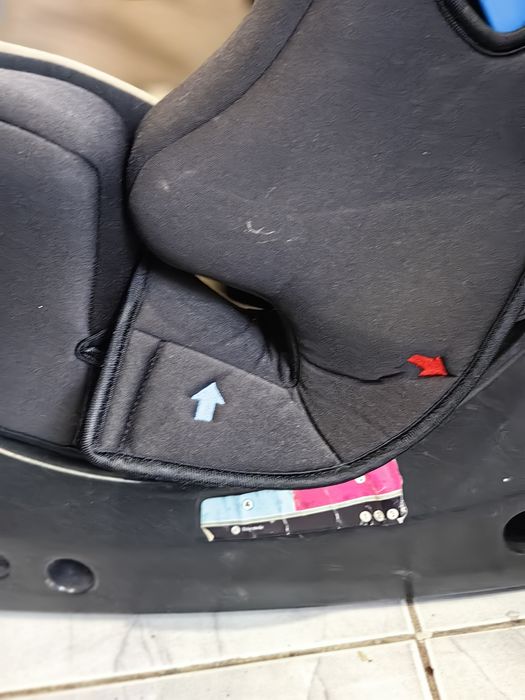 Chippolino Trax Neo 0-25 kg  Столче за кола