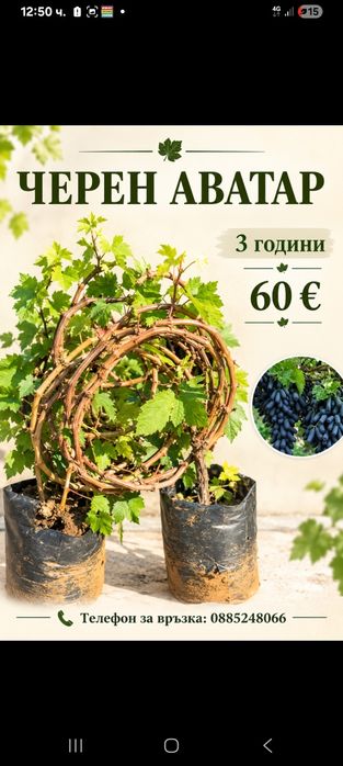Аватар на три години