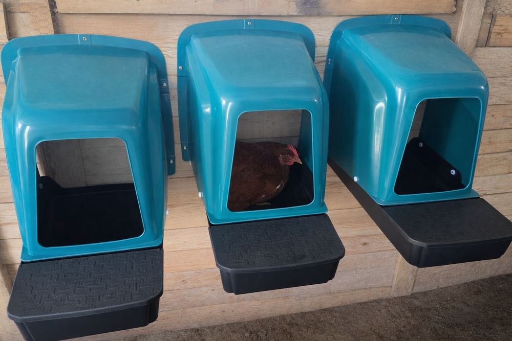 Полог с наклон и чекмедже за кокошки