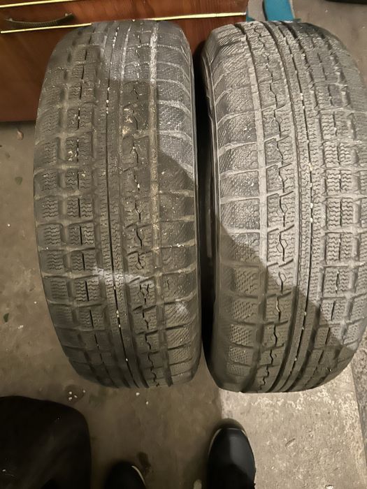 Дөңгелек қыстық жағдайы жақсы