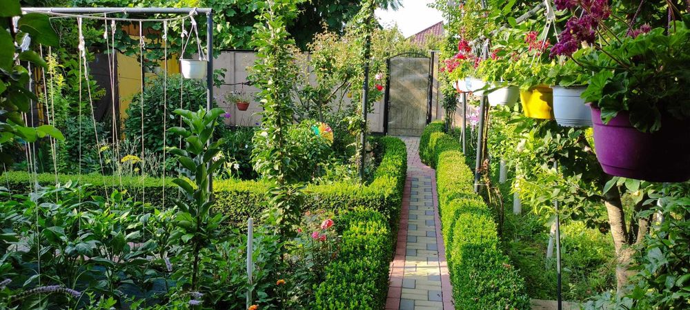 Cazare la mare casa Orange House Mangalia
