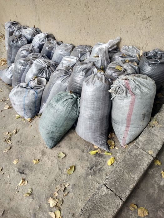 Ko'mir xokasi ( kukuni)