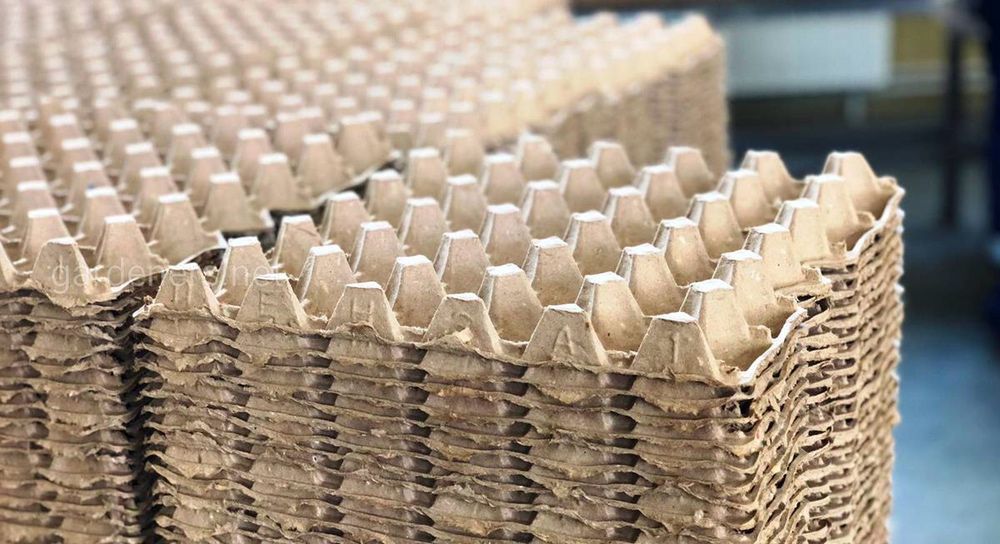 Яичные лотки