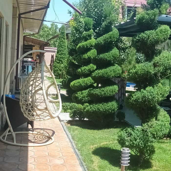 Арча кесиш ва дорилаш хизмати