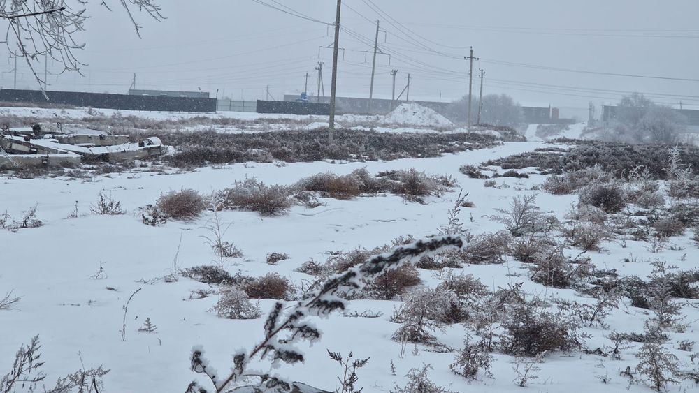 Участок 50 соток