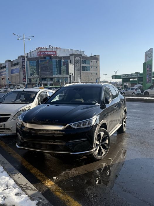 Byd song plus flagship FULL