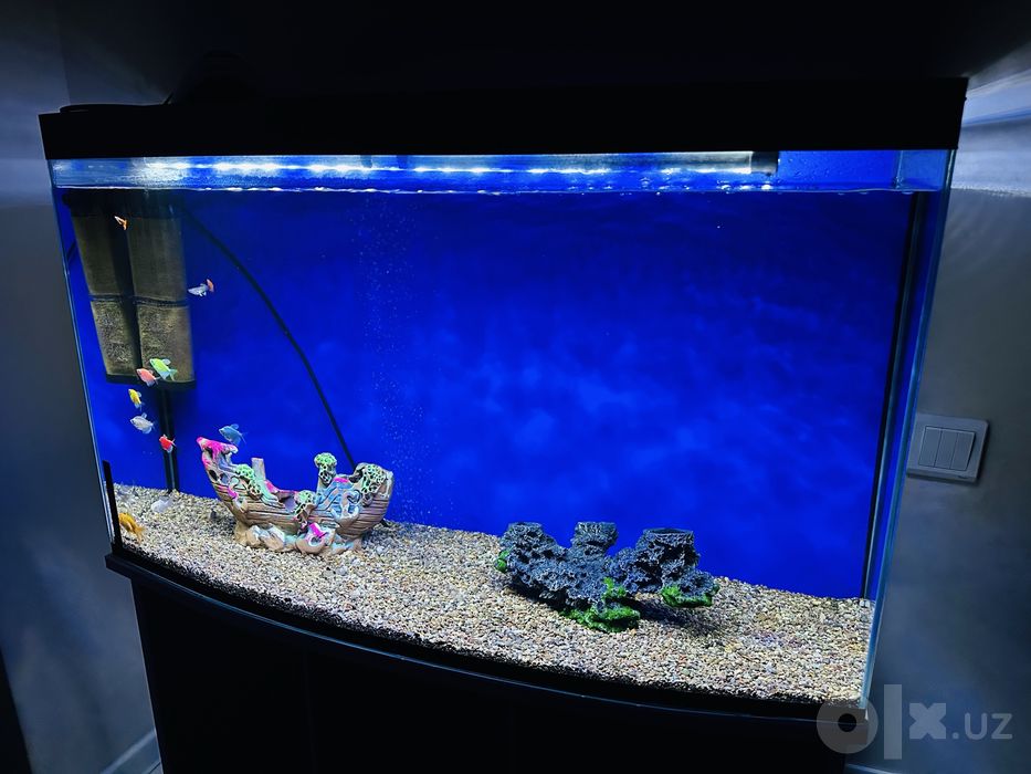 Akvarium shkaf 220 litr